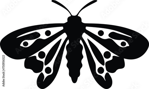 jumping bean moth  silhouette