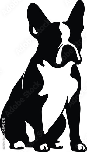 Boston Terrier   silhouette