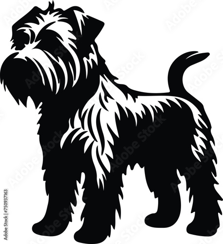 Wallpaper Mural Glen of Imaal Terrier  portrait Torontodigital.ca