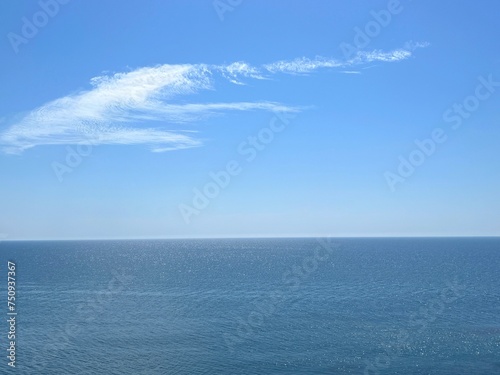 Blue ocean water and sky. © OLENA