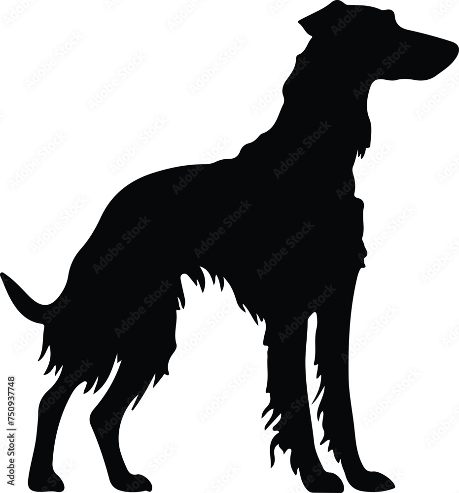 Obraz premium Scottish Deerhound silhouette