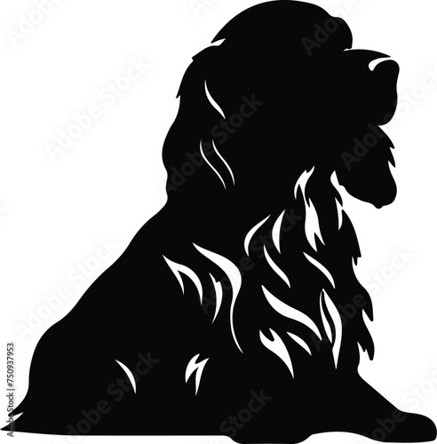 Sussex Spaniel   silhouette