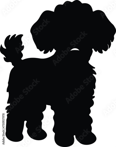 Toy Poodle   silhouette