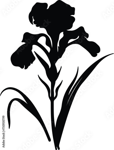 iris  silhouette