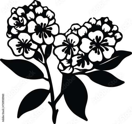 mountain laurel  silhouette