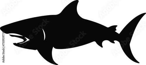 shark  silhouette