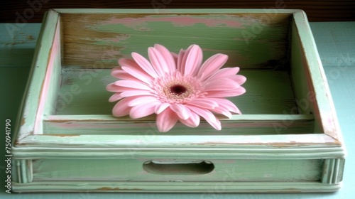 a pink flower sitting on top of a green wooden box on top of a blue tablecloth covered floor next to a wooden wall. photo