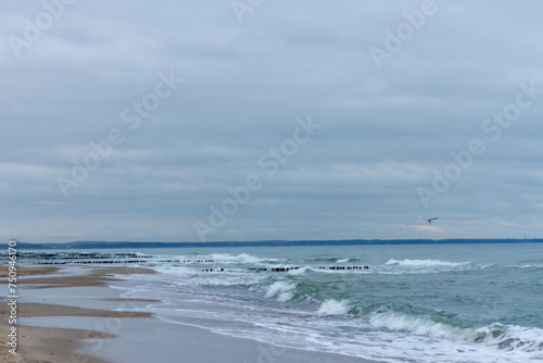 Sea waves crash on the rocks on a summer evening. A bird flies over the sea. Forest and mountains on the horizon. Yellow and wet sand. Sea foam 