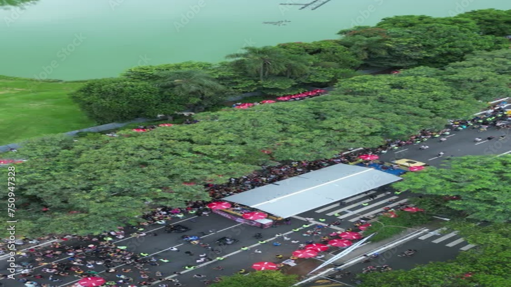 Carnaval Bloco São Paulo Samba Ibirapuera folia alegria diversidade multiculturalismo batucada fantasia animação cultura tradição rua música dança festa Brasil ritmo celebração colorido energia folião