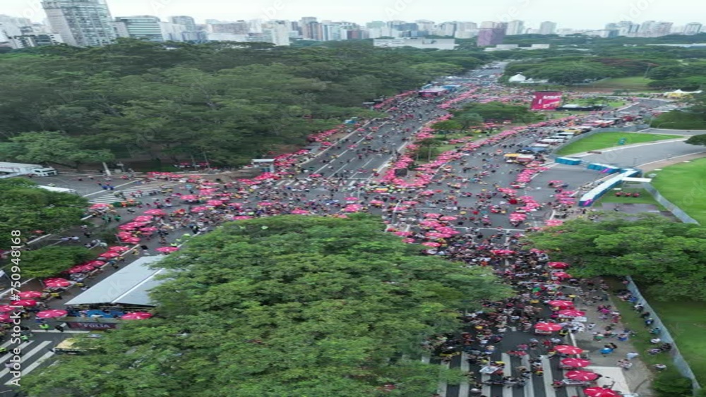 Carnaval Bloco São Paulo Samba Ibirapuera folia alegria diversidade multiculturalismo batucada fantasia animação cultura tradição rua música dança festa Brasil ritmo celebração colorido energia folião