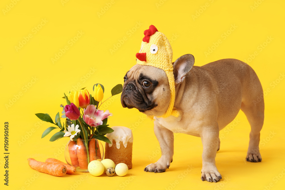 Cute French bulldog in chick hat with beautiful flowers, Easter cake and eggs on yellow background
