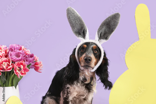 Cute cocker spaniel in bunny ears with paper rabbit and beautiful tulips on lilac background. Easter celebration