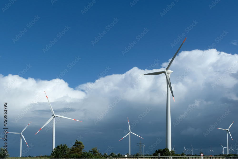 Windpark am Feldrand 