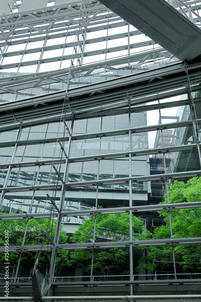 Tokyo Street View “Plants that live in the city”