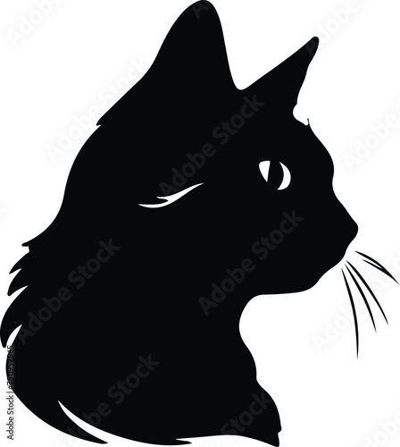 Suphalak Cat portrait