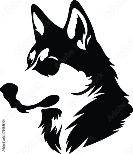 Siberian Husky  portrait