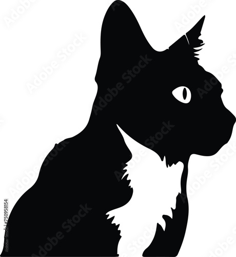 Snowshoe Cat  portrait