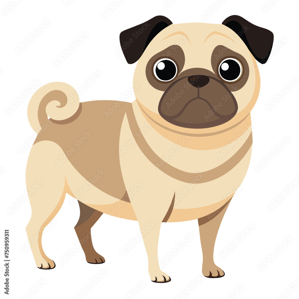 illustration of a pug