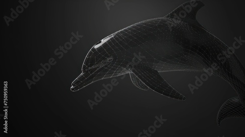 a black and white photo of a dolphin with a wire frame on it's head and a black background.