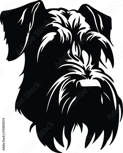 Giant Schnauzer  portrait