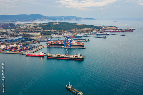 Cargo vessels uploading at freight cargo port terminal. Aerial view © Leonid