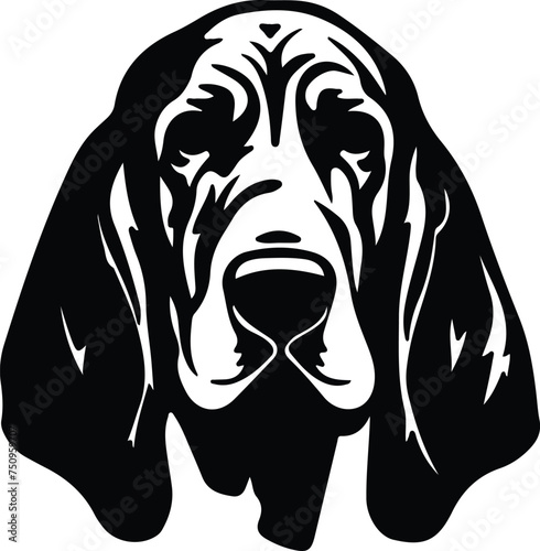 bloodhound  portrait