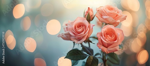 Three pink roses are elegantly placed on top of a table with a pastel blur bokeh background, creating a romantic setting perfect for Valentines Day.