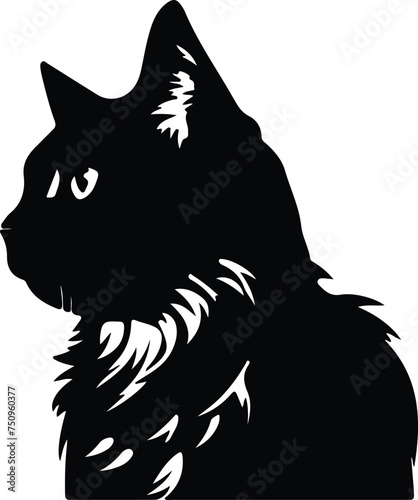 American Bobtail Cat  portrait