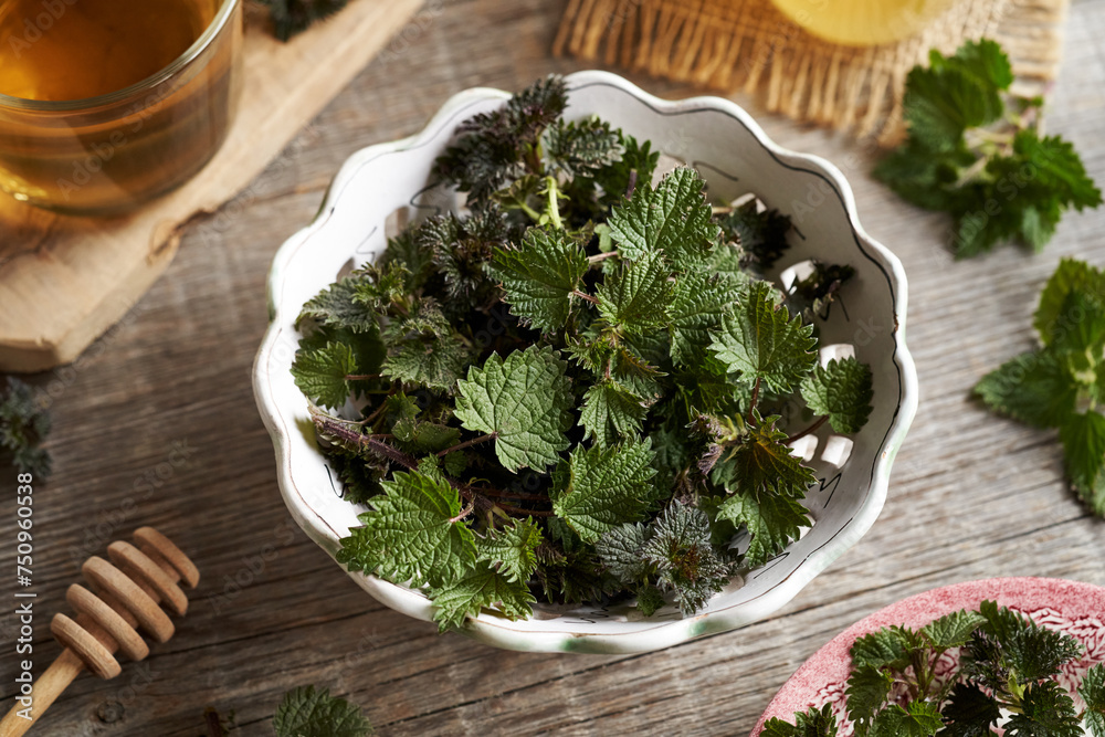 Fresh stinging nettles in a white bowl Fresh stinging nettles in a white bowl