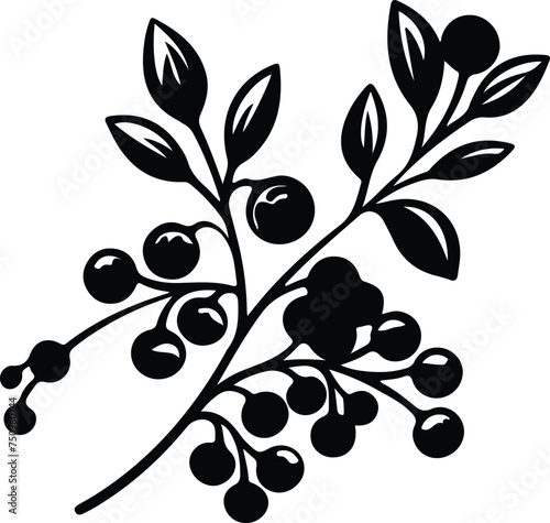 blueberry  silhouette