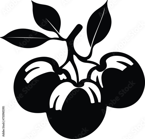 plum  silhouette