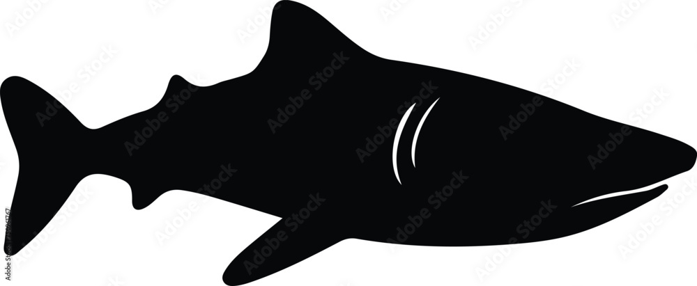 whale shark silhouette whale shark silhouette