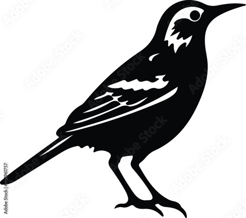 western meadowlark  silhouette