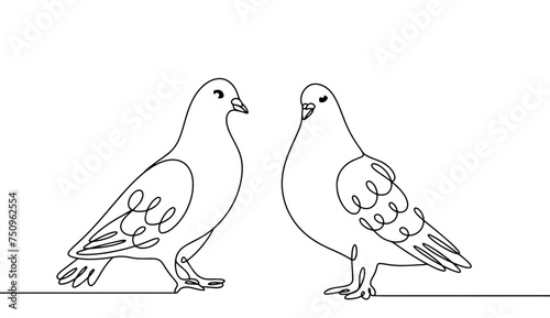 Pigeon. Dove. Pair