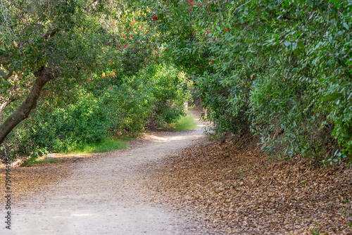 Hiking trail path with green trees in the Anaheim Hills of Orange County, California photo