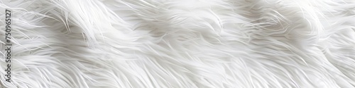 Wallpaper Mural white fur background. Torontodigital.ca