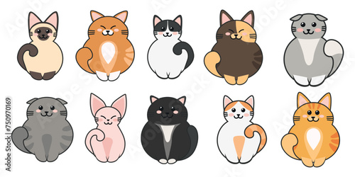 Set of cute fluffy kittens and cats in cartoon style. Vector illustration of funny colored cats: red, gray, black, brown with spots with different emotions, poses, breeds isolated on white background.