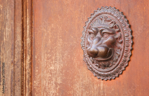 Metal door decor in shape of lion's head, Germany