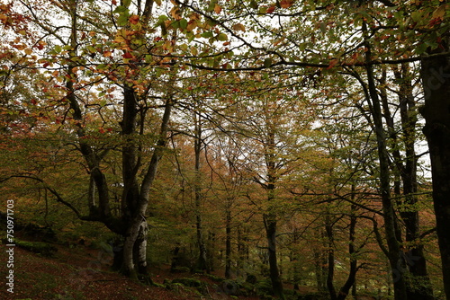 The Natural Park of Urbasa-And  a is a protected natural area of the Autonomous Community of Navarre  Spain