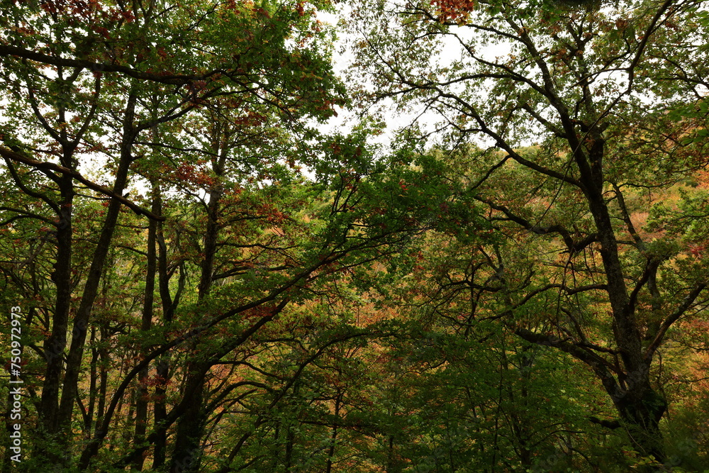 The Natural Park of Urbasa-Andía is a protected natural area of the Autonomous Community of Navarre, Spain The Natural Park of Urbasa-Andía is a protected natural area of the Autonomous Community of Navarre, Spain