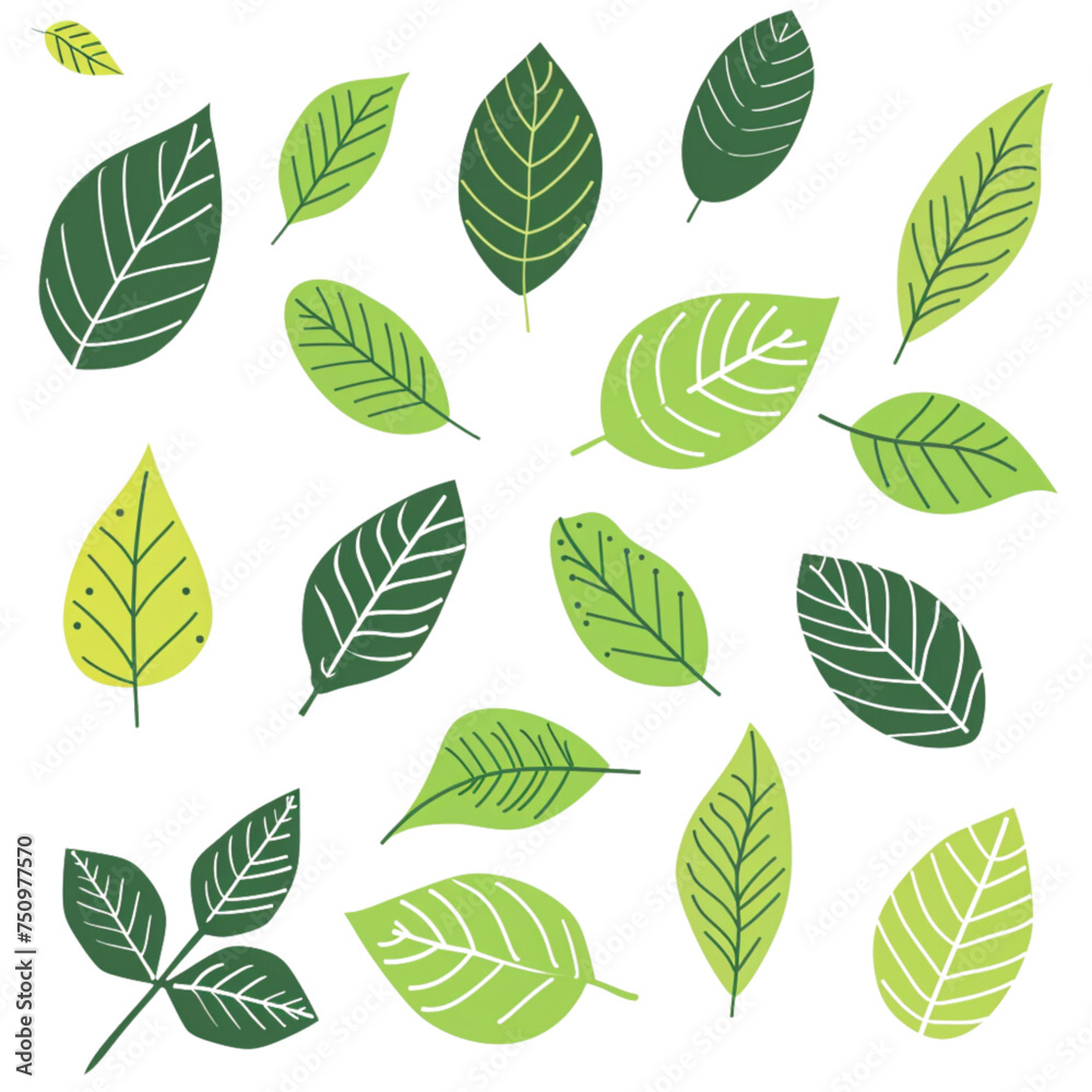 set of leaves set of leaves