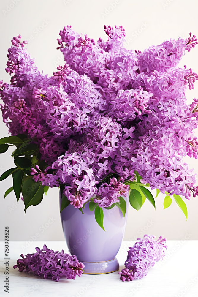 A bouquet of beautiful lilacs in a vase. A bouquet of beautiful lilacs in a vase.