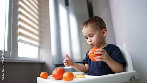 Cute Caucasian toddler drops the tangerines he's holding in hands. Kid at high chair playing and eating the citruses. photo