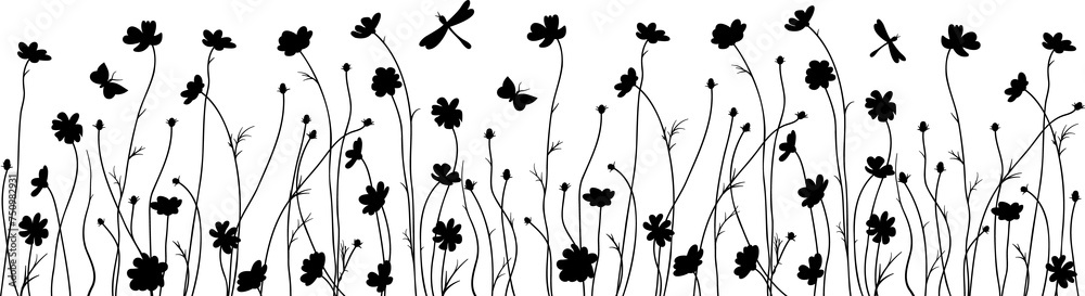 cosmos flowers black silhouette, floral decorative bottom edge - obrazy, fototapety, plakaty 