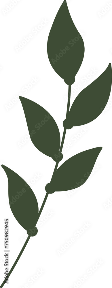 dark green branch with leaves