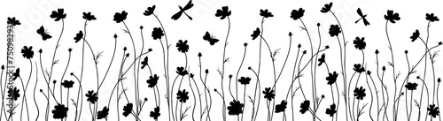 cosmos flowers black silhouette, floral decorative bottom edge photo