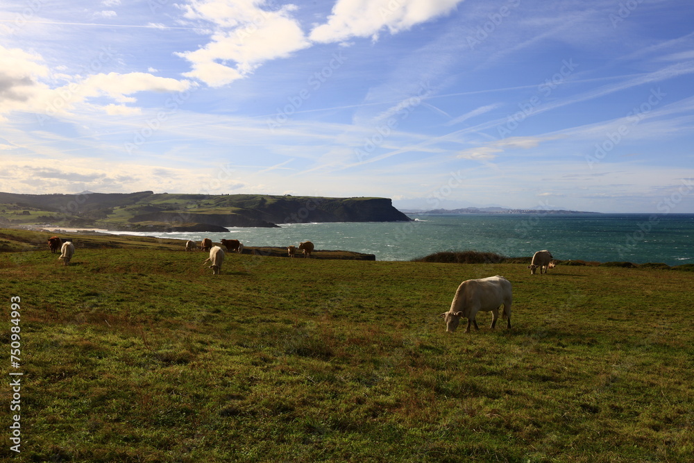 Obraz premium Cap d'Ajo is located near the town of Bareyo, in the province of Cantabria in Spain.