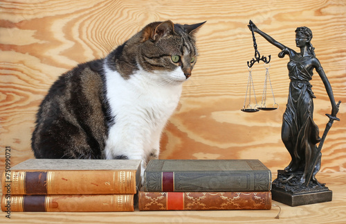 Eine Katze mit einer Justitia Figur und Büchern. Rechtssprechung für Tiere photo