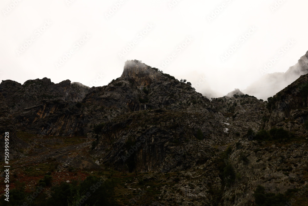 The Picos de Europa National Park is a National Park in the Picos de Europa mountain range, in northern Spain