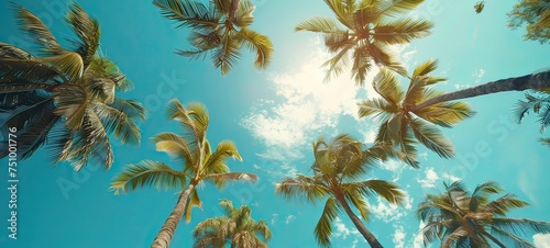 Tropical Paradise: Palm Trees Against Blue Sky at Beach